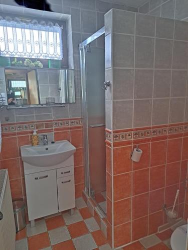 a bathroom with a shower and a sink and a mirror at Penzion Havran in Ždiar