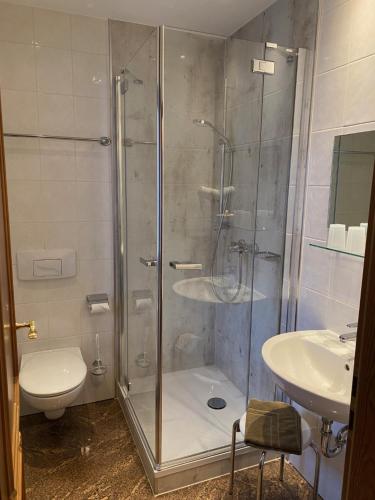 a bathroom with a shower and a toilet and a sink at Hotel-Pension Flechsig in Hartmannsdorf bei Kirchberg.