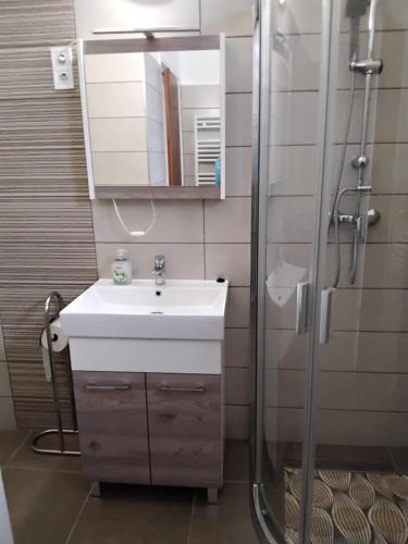 La salle de bains est pourvue d'un lavabo et d'une douche. dans l'établissement Gulyás Vendégház, à Tiszafüred