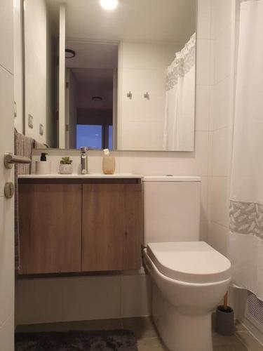 a bathroom with a toilet and a sink and a mirror at Departamento céntrico nuevo in Valdivia