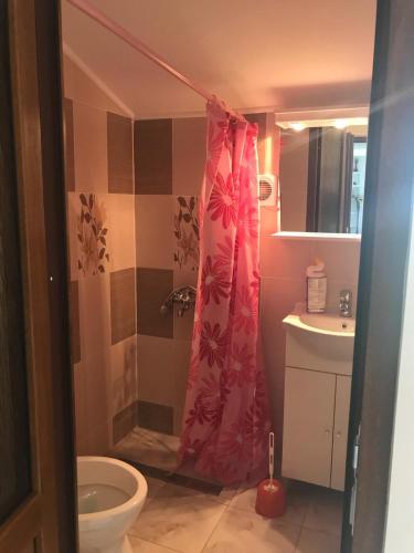 a bathroom with a shower with a toilet and a sink at Casa Croitoru in Mangalia