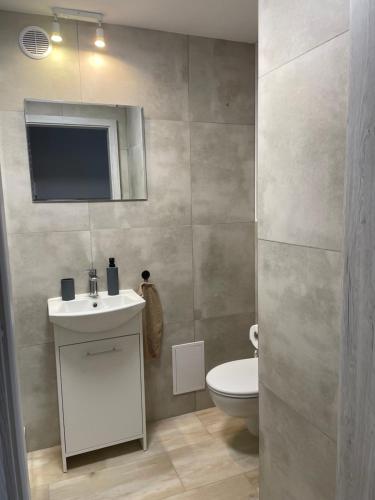 łazienka z białą umywalką i toaletą w obiekcie Mieszkanie Radom w Radomiu