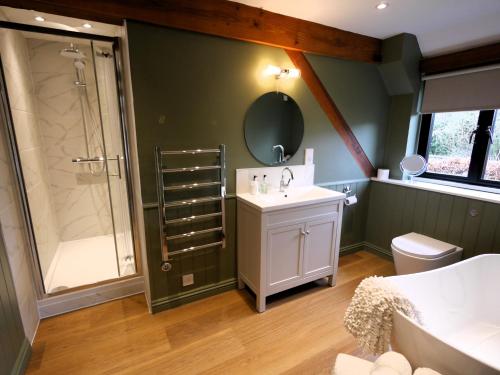 a bathroom with a shower and a sink and a toilet at North Downs Barn in Rochester
