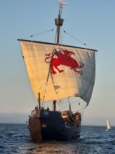 a sail boat with a dragon on it in the ocean at Ferienwohnung Am Ueckerpark in Ueckermünde