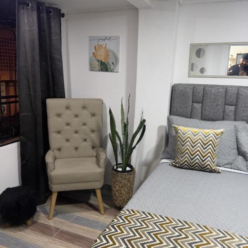 1 dormitorio con 1 cama, 1 silla y 1 planta en Acogedor, en Itagüí