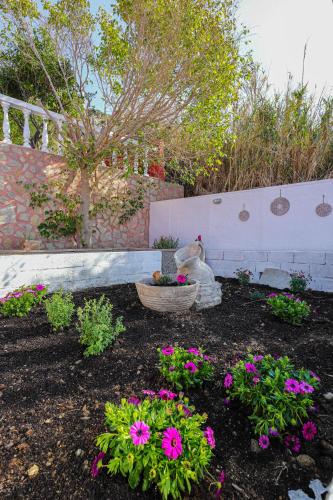 a garden with a statue of a cat and flowers at Angels beach house in Rhodes Town