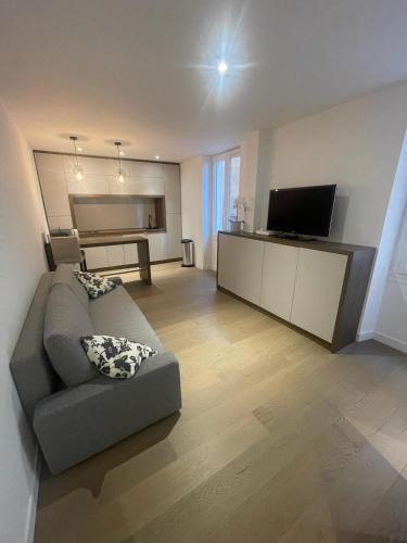Una sala de estar con un sofá y un televisor de pantalla plana. en Studio charmant et confortable, en Beausoleil