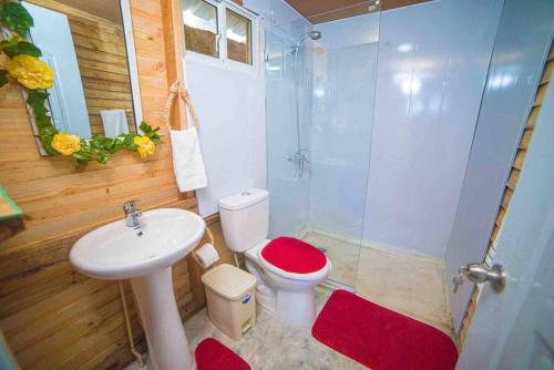 La salle de bains est pourvue de toilettes, d'un lavabo et d'une douche. dans l'établissement Vista al Valle, à San Felipe de Puerto Plata