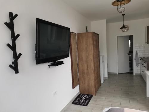uma televisão de ecrã plano pendurada numa parede em Apartma Pinea em Portorož