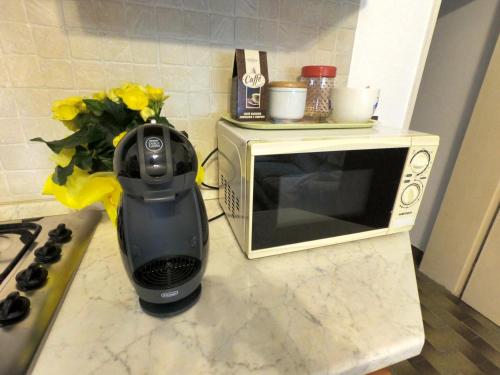 a blender sitting on a counter next to a microwave at Casa vacanze la Bassa in Porto Viro