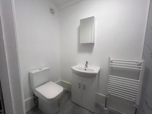 a white bathroom with a toilet and a sink at Immaculate Studio in Bristol in Bristol