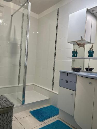une salle de bain avec une douche avec un comptoir et un lavabo dans l'établissement Résidence les Ibis Location entre mer et montagne, à Toulon