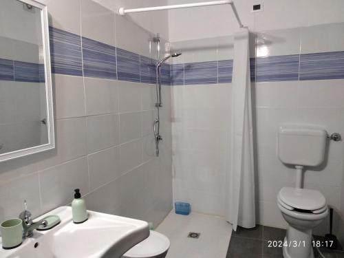 uma casa de banho com um WC, um lavatório e um chuveiro em A casa di Pietro 