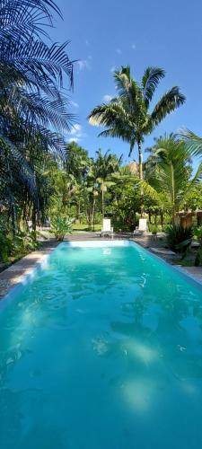 een groot blauw zwembad met palmbomen op de achtergrond bij Pousada Bangalô de Barro in Paraty