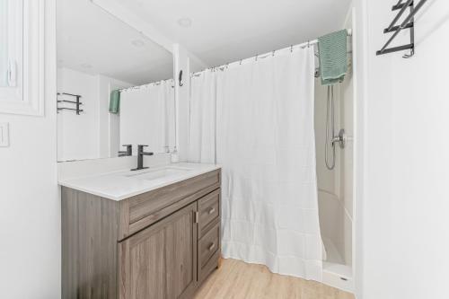 uma casa de banho com um lavatório e um chuveiro em The Birch em Wellington