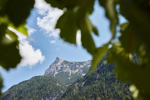a mountain seen through the leaves of a tree at Hotel Hubertushof - Ihr Hotel mit Herz in Leutasch