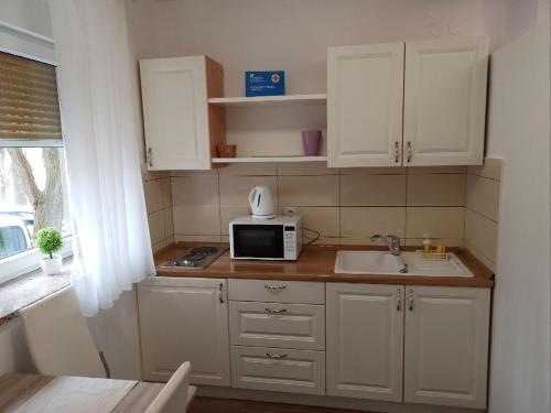 małą kuchnię ze zlewem i kuchenką mikrofalową w obiekcie Apartman Vanja w mieście Rijeka