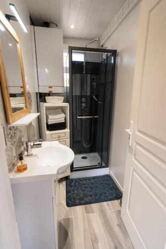 une salle de bain avec douche et lavabo dans l'établissement Charmant appartement Vosgien centre Saint Dié, proche montagnes, à Saint-Dié-des-Vosges