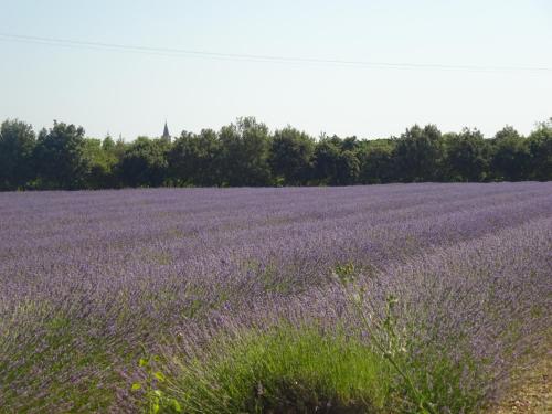 Un paisaje natural cerca de la casa vacacional