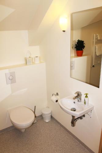 a bathroom with a toilet and a sink and a mirror at Öndólfsstaðir Farm B&B in Laugar