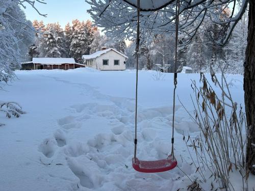 eine Schaukel in einem schneebedeckten Hof in der Unterkunft Sixty Six Degrees North - Lapland Home & Forest in Överkalix