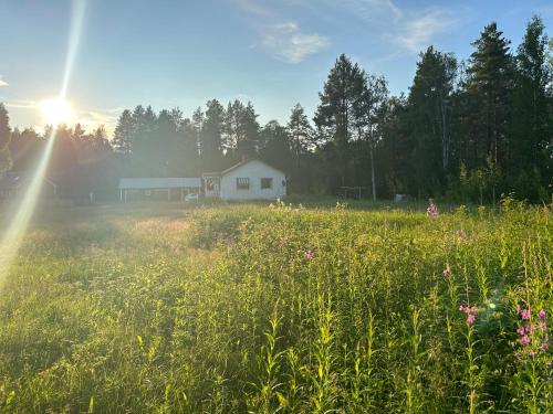 a field of grass with a house in the background at Sixty Six Degrees North - Lapland Home & Forest in Överkalix