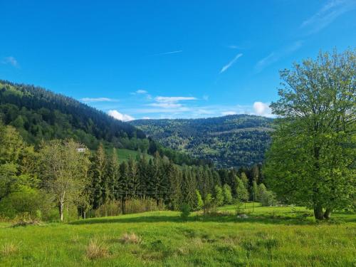 Un paisaje natural cerca de la casa de huéspedes
