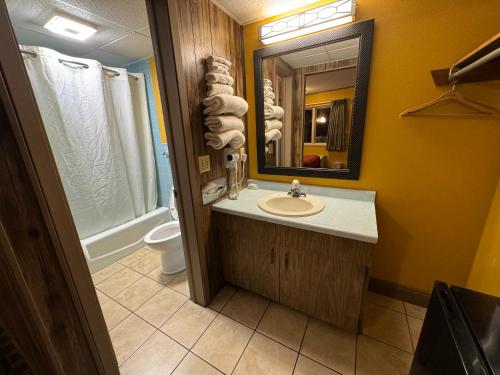 a bathroom with a sink and a mirror and a toilet at Tennessee Mountain Lodge in Pigeon Forge