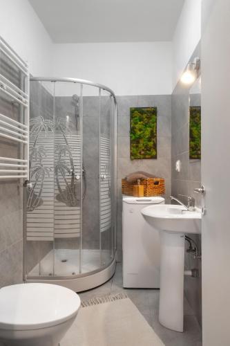 a bathroom with a shower and a toilet and a sink at Sfanta Agnes self check in in Popeşti-Leordeni