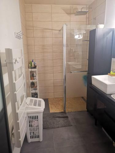 une salle de bain avec douche et lavabo dans l'établissement Chez Sophie, à Le Barp
