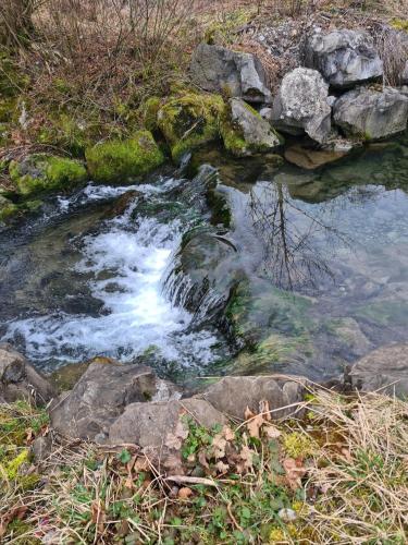 a stream of water with rocks in a field at Muota River Loft & Muota Industry Apartment near Stoos in Muotathal