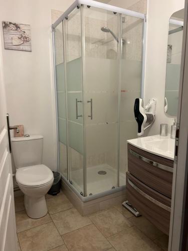 une salle de bain avec une douche, des toilettes et un lavabo dans l'établissement Charmante petite maison en pierre, à Boutigny-sur-Essonnes