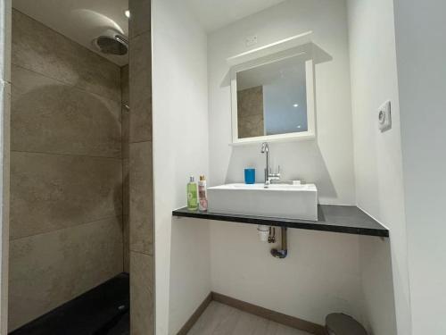 un baño con lavabo y ducha en Moderne corps de ferme - Piscine, en Grésy-sur-Aix