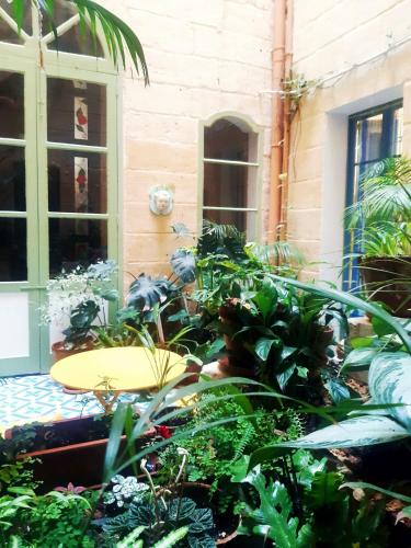 a garden with plants in front of a building at Myrtle Suite - Authentic Valletta Experience in Valletta