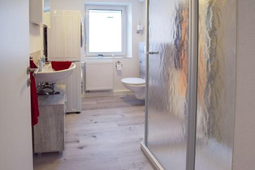 a bathroom with a shower and a toilet and a sink at House of the Rising Fun in Bubesheim