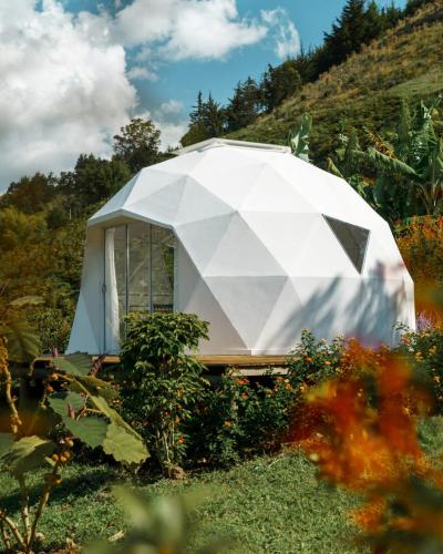 a white dome tent in a field with trees at Rainbow Glamping in Abejorral