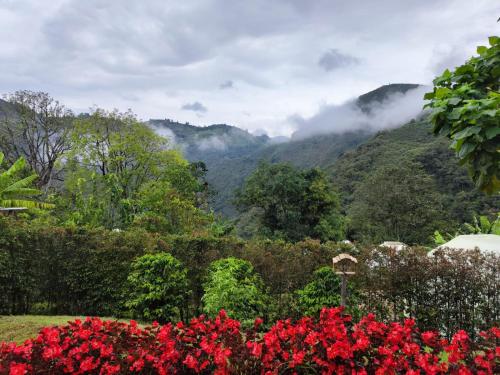 a view of the mountains from a garden with red flowers at Rainbow Glamping in Abejorral