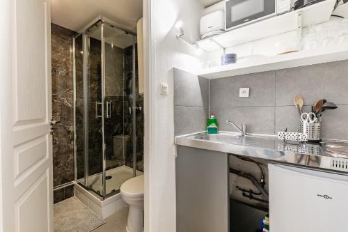 a bathroom with a shower and a sink and a toilet at Studio Orangerie & centre in Strasbourg