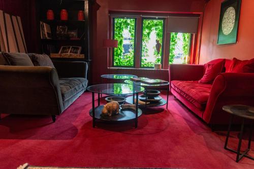 a living room with couches and a dog sitting on a table at Art'Hotel & SPA Le Potin Gourmand in Cluny