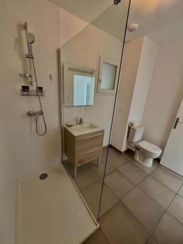 ein Bad mit einer Dusche, einem Waschbecken und einem WC in der Unterkunft Appartement avec Terrasse in Cléon-dʼAndran
