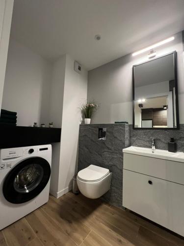 Koupelna v ubytování Przytulny Apartament w samym centrum