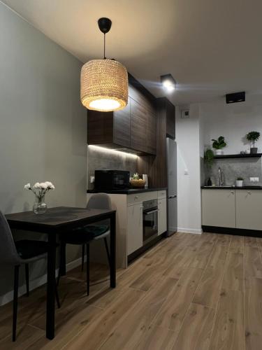 Kuchyň nebo kuchyňský kout v ubytování Przytulny Apartament w samym centrum