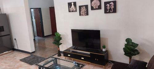 sala de estar con TV de pantalla plana y algunas plantas en EAGLE WEAVERS NEST, en Livingstone