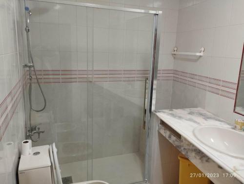 een badkamer met een douche en een wastafel bij Albufeira INN - Casa dos Aveiros - Dolamar 4A T1 in Albufeira