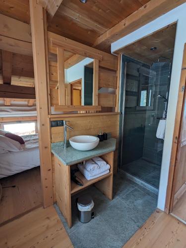 a bathroom with a sink and a shower in a cabin at Chalet Lè Lodzé - Pieds des pistes in La Rosière