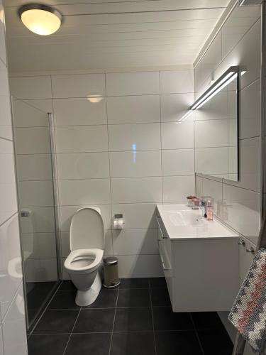 a white bathroom with a toilet and a sink at Apartment with beautiful panoramic view in Skulestadmo