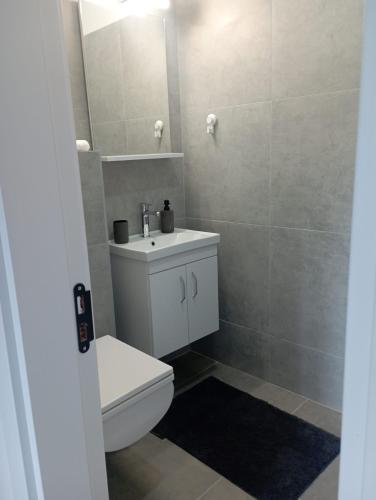 een badkamer met een toilet, een wastafel en een spiegel bij Vila Leona B-3 in Divčibare