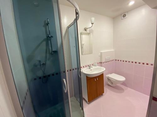Koupelna v ubytování Apartman A1 Golem