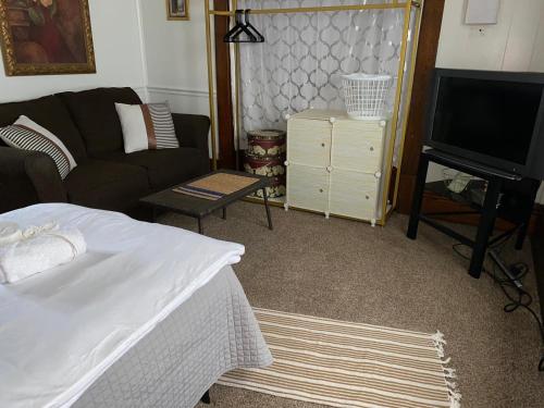 een woonkamer met een bank en een televisie bij Hite Home in Akron
