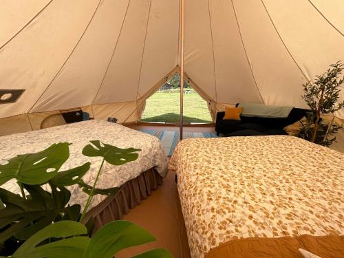 une tente avec 2 lits à côté d'une plante dans l'établissement North Shore Glamping / Camping Laie, Oahu, Hawaii, à Laie